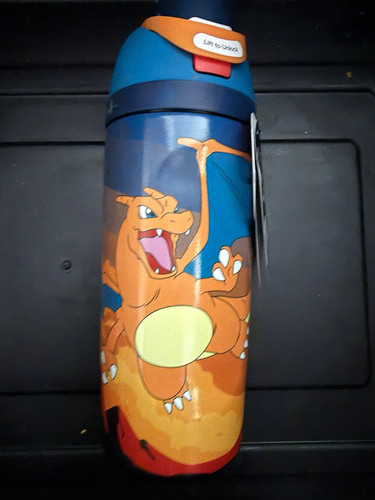 Pokémon charizard kids - pokémon,